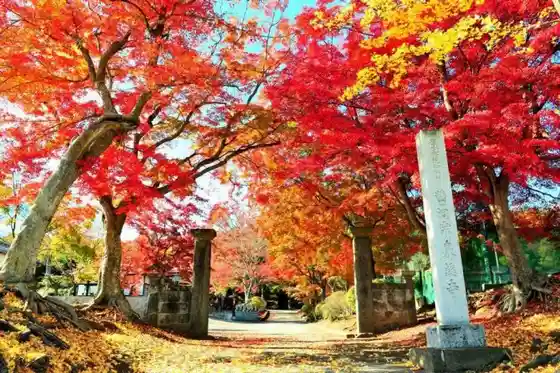 Senkeiji Temple