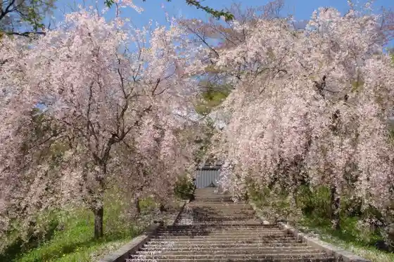 Tenshoji Temple