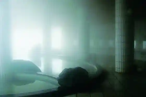 Nasukarasuyama Ogane Hot Spring Grand Hotel