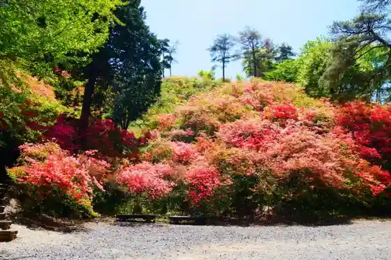 Hanadate Pass Forest Park