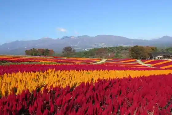 Nasu Flower World