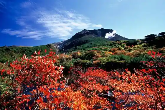 Nasu Town Tourism Association