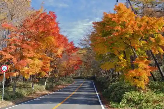 Nisshio Maple Line