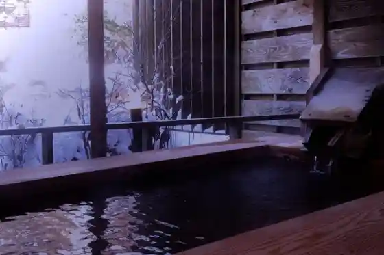 Kodama no Yu Yamaguchiya Ryokan