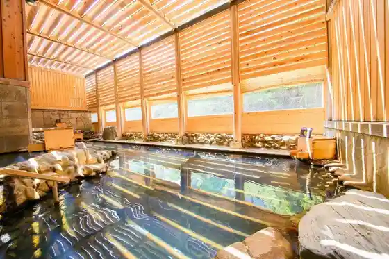 Oedo Onsen Monogatari Premium Hotel New Shiobara