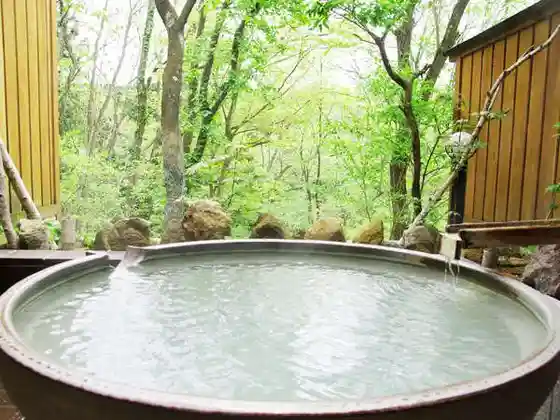 Okushiobara Kogen Hotel