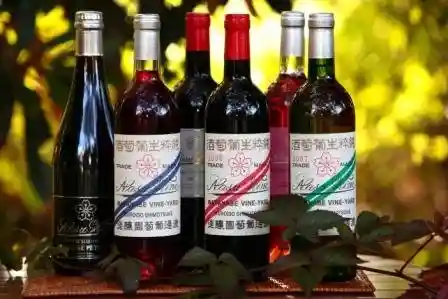 NASU WINE