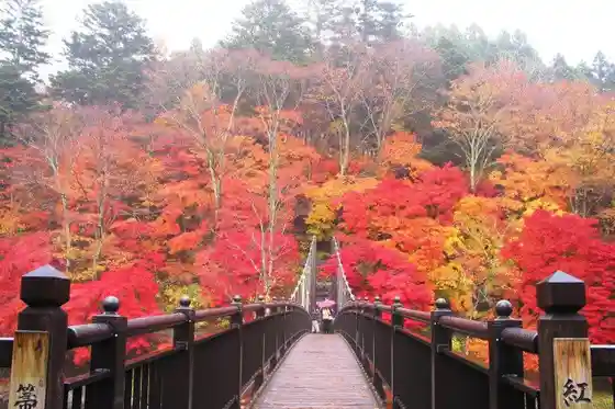 Crimson Suspension Bridge