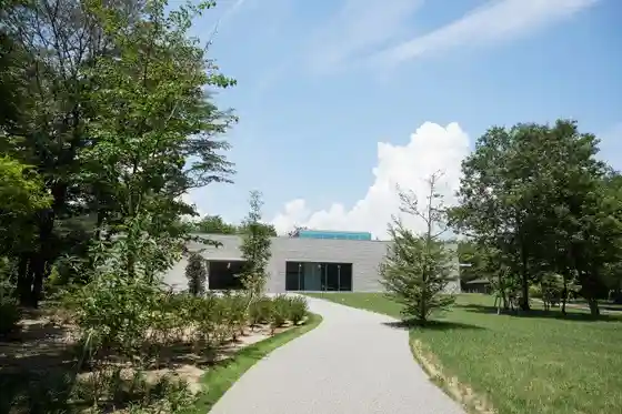 N's YARD
