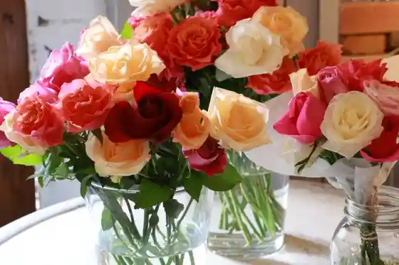 DEAR, FOLKS & FLOWERS