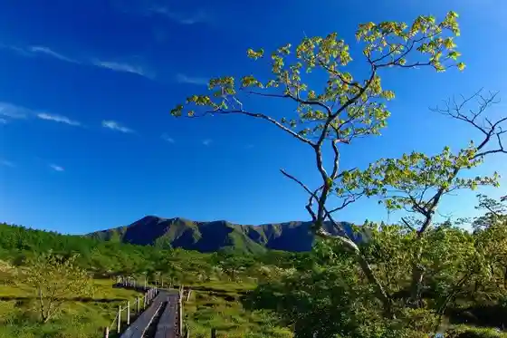 Numahara Marsh