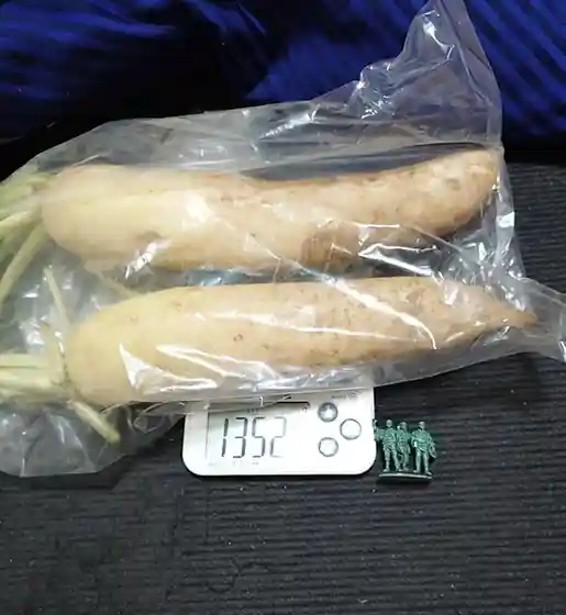 菅井農園