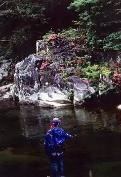 Odo Mei Gorge