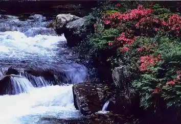 Otona Gorge