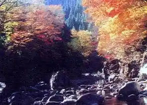 Neba Kyo