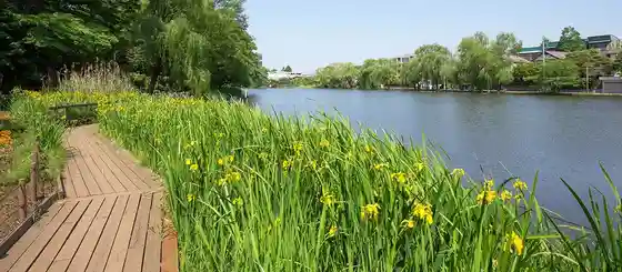 Shakujii Park