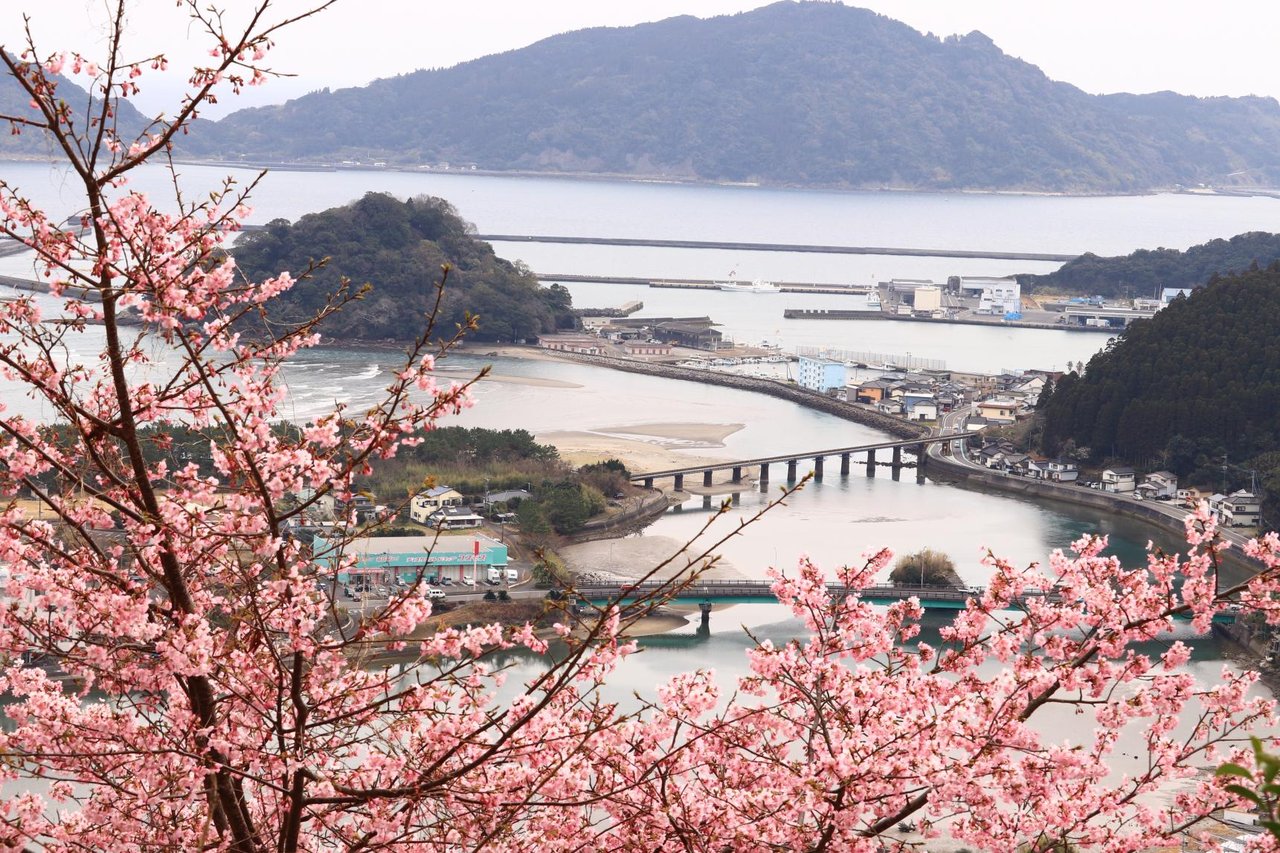 Cherry Blossoms at Nango Castle Ruins