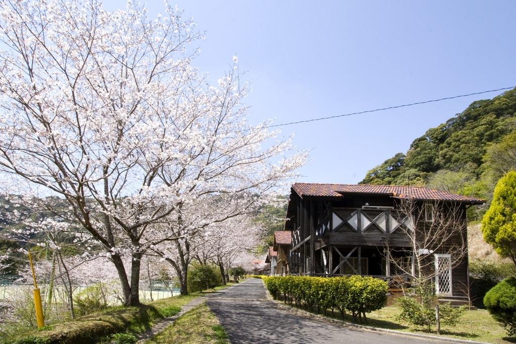 Hachinosu Park Campground