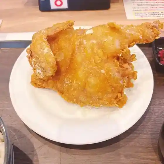 Torikan