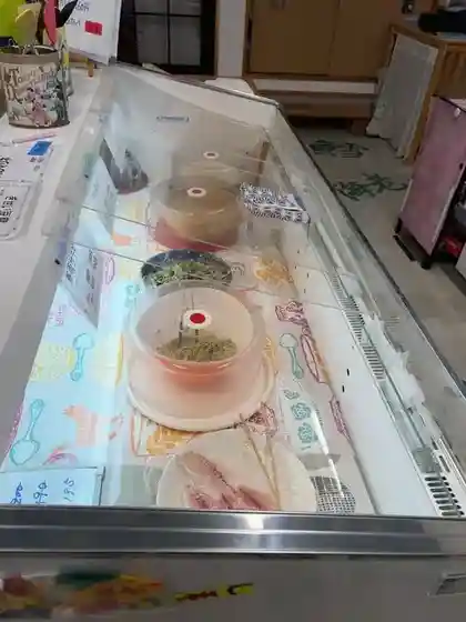 Sakanaya Moto