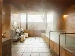 Joetsu San Plaza Hotel
