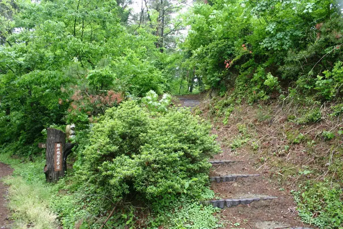 Katsuyama Joshi Promenade