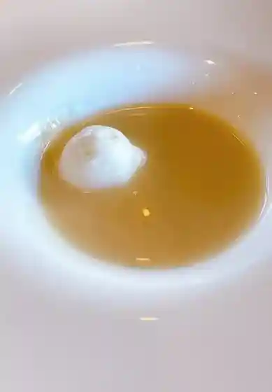 Bagu