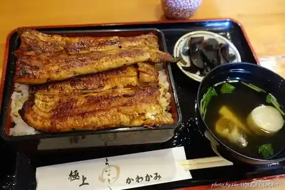 Unagi Kawakami