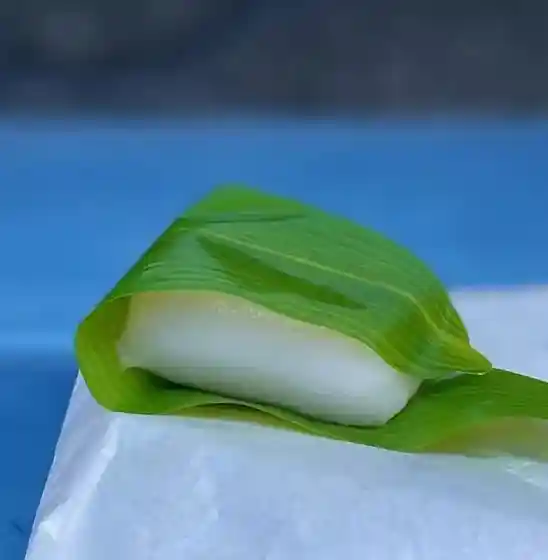 Kojima-ya Seika