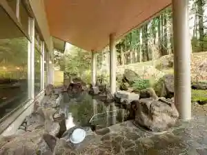 Echigo Okutadami Sato Kami Yu Onsen Kurabu