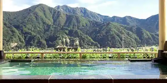 Mizu Ga Ori Nasu Echigo No Yado Hotel Futaba