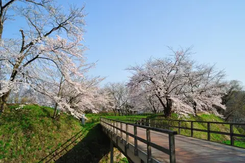 Kunohe Castle Ruins