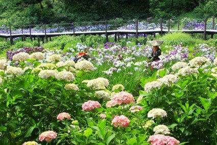 Ninomiya Town Futami Memorial Museum
