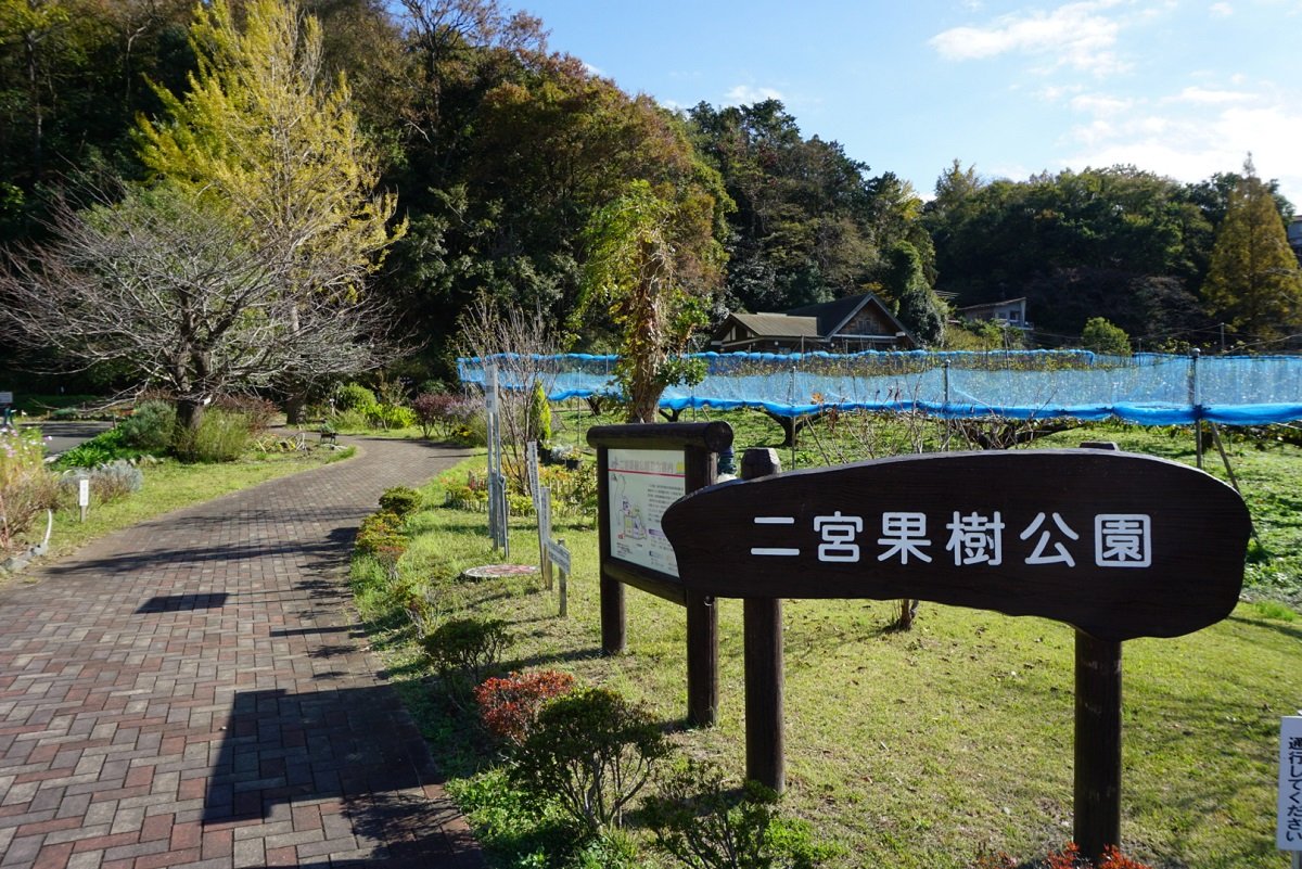 Ninomiya Fruit Tree Park