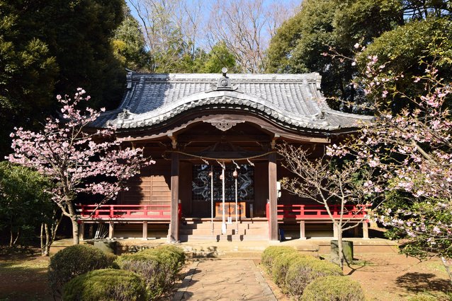 Sagami Kuni Ni Yuki Miya Kawa Ko Shrine