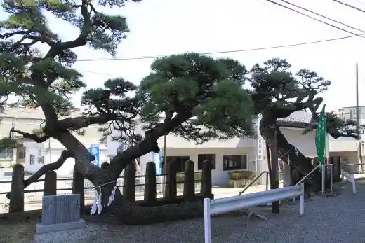 Wakamiya Hachimangu Shrine