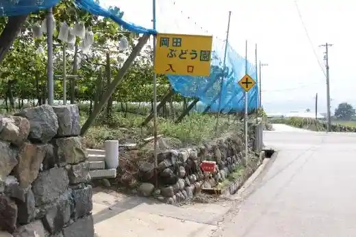 Okada Grape Orchard