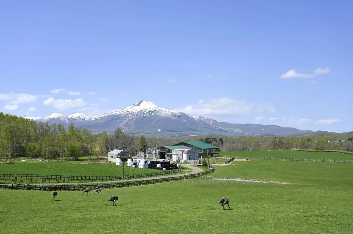 Dai 2 Ari Shima Dacho Ranch