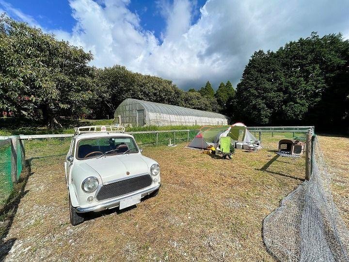 Aso Maron no Ki Auto Campground