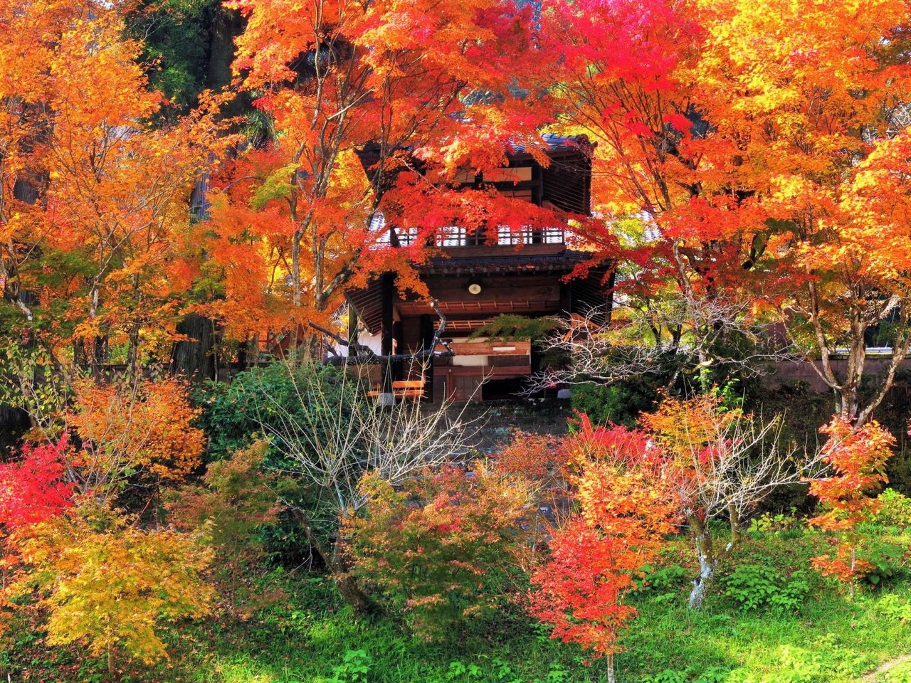 Shinguzen-ji
