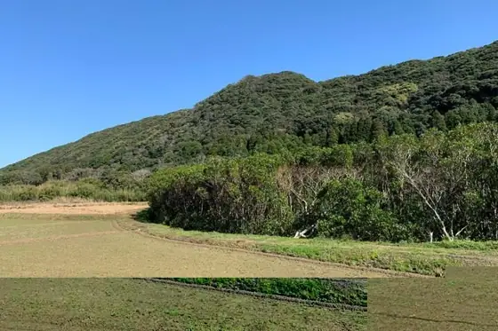 Mehirugi Native Community