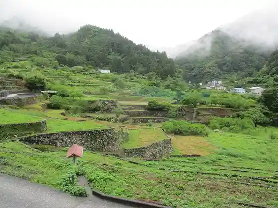 Choja rice terraces