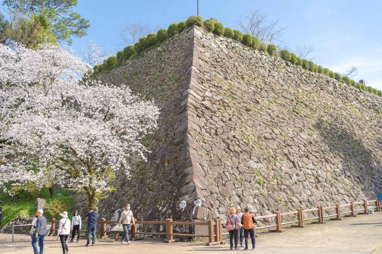 Nobeoka Castle Ruins Shiroyama Park