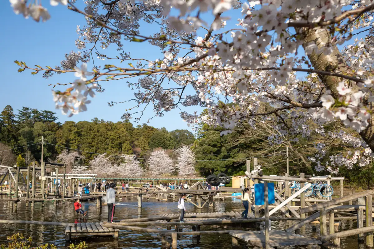 Shimizu Park
