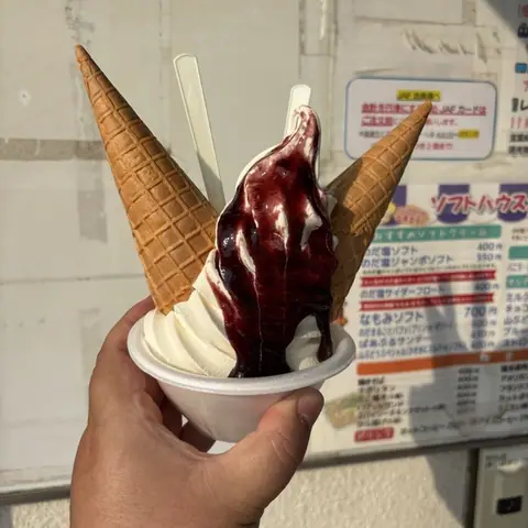 ソフトハウス