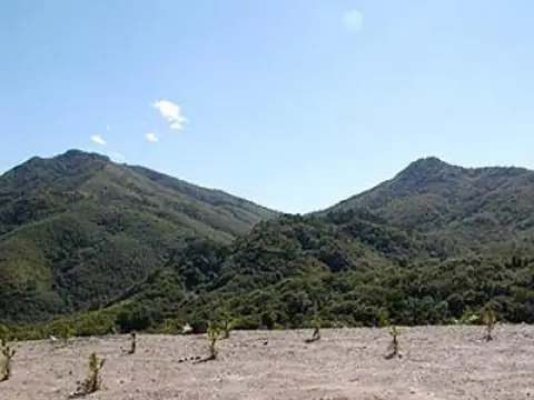 Mt. Wasarabi