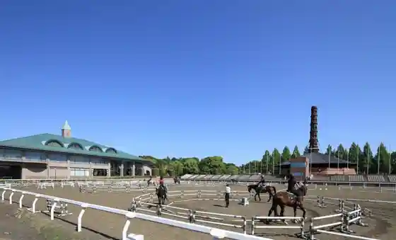 Crane Tochigi Riding Club