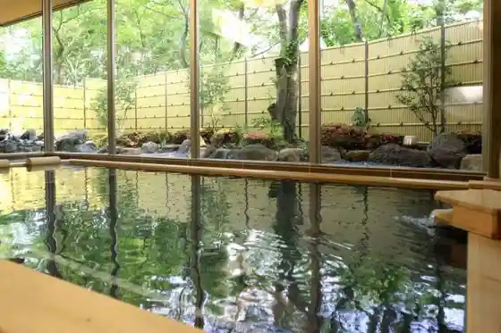 Tatsukuchi Onsen Soyu Satoyama Baths