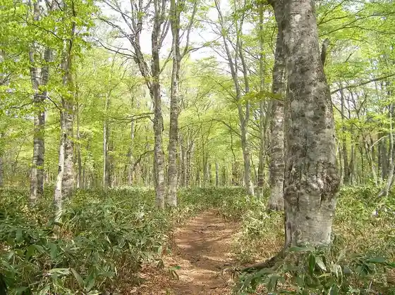 Tambara Highland Nature Guide