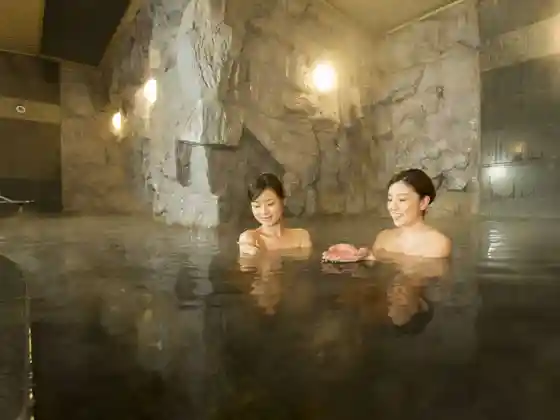 Natural Hot Spring Premier Hotel-CABIN-Obihiro
